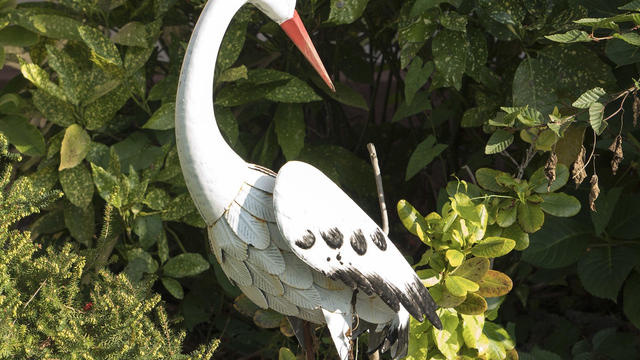 Photo of Outdoor in Niederbronn-les-Bains