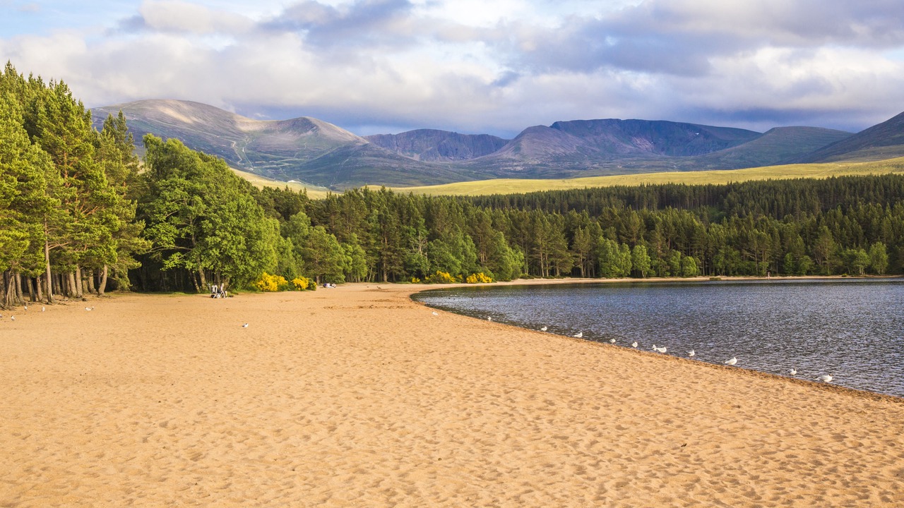 Photo of Others in Aviemore