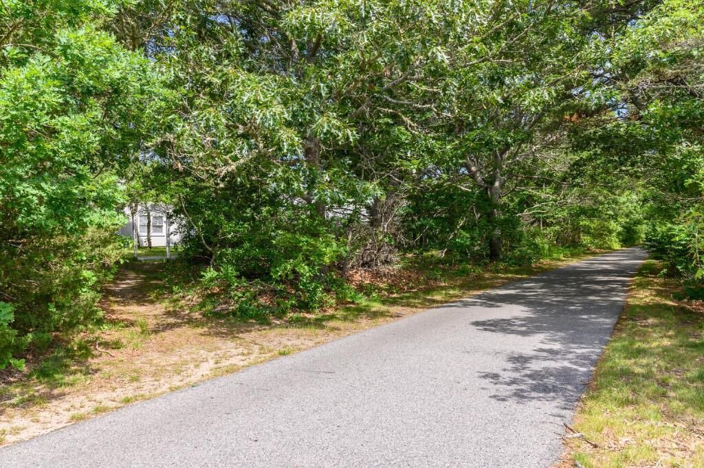 Photo of Outdoor in North Eastham