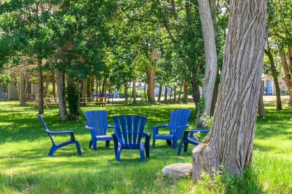 Photo of Outdoor in North Eastham