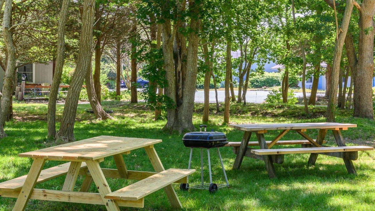 Photo of Outdoor in North Eastham