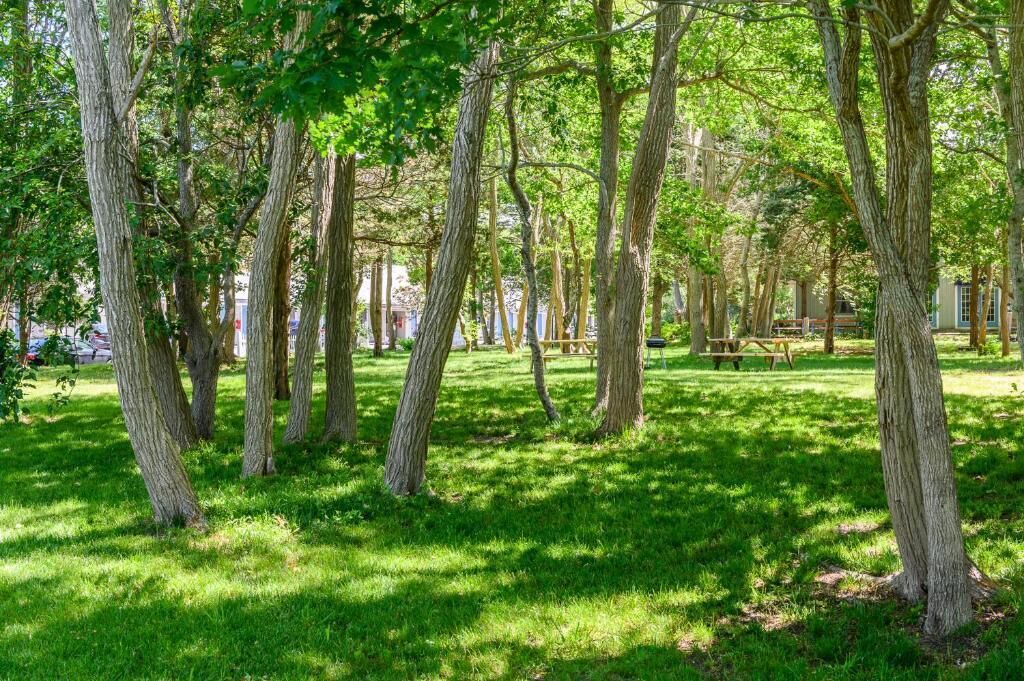 Photo of Outdoor in North Eastham