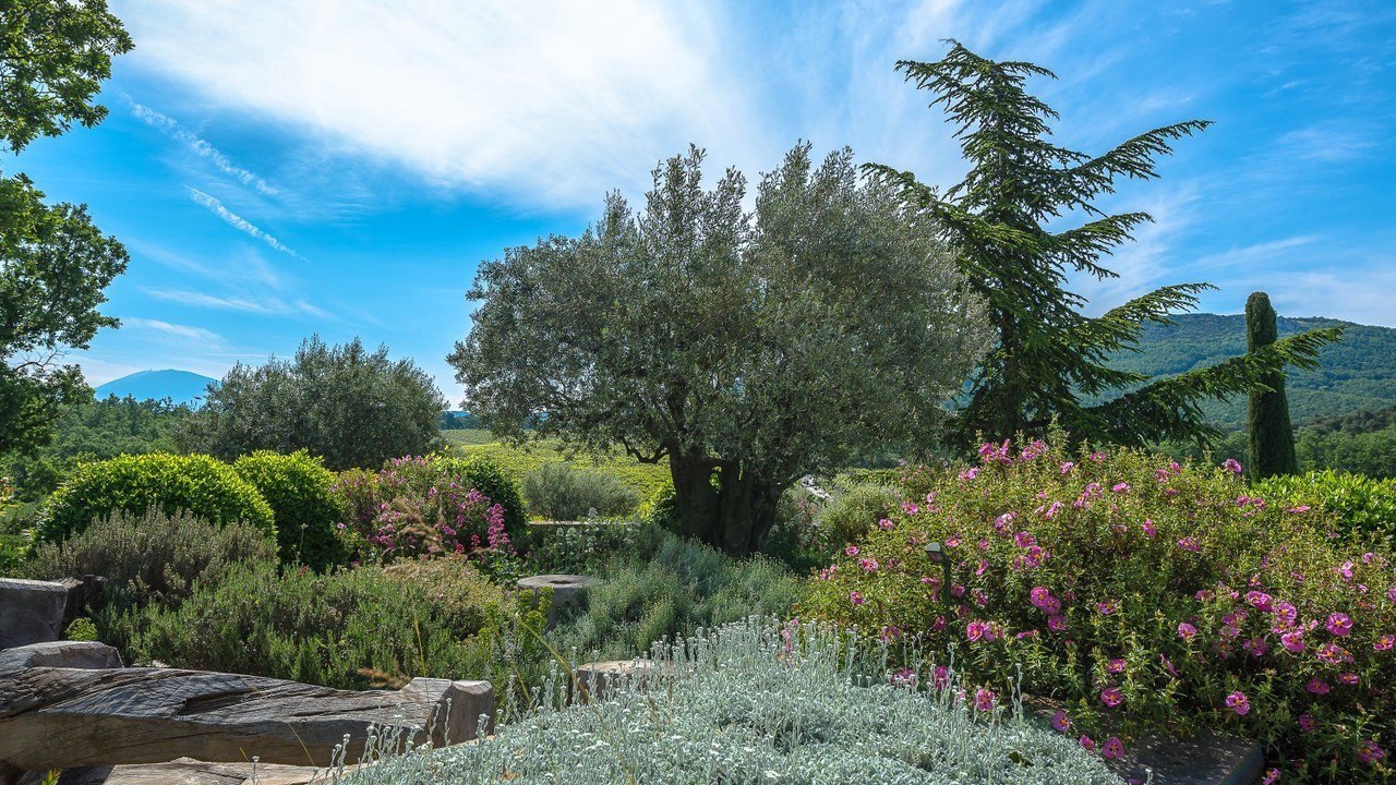 Photo of Outdoor in Crestet