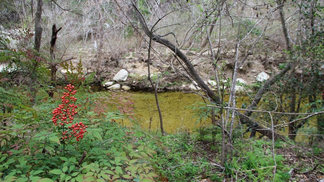 Photo of Outdoor in North Oaks
