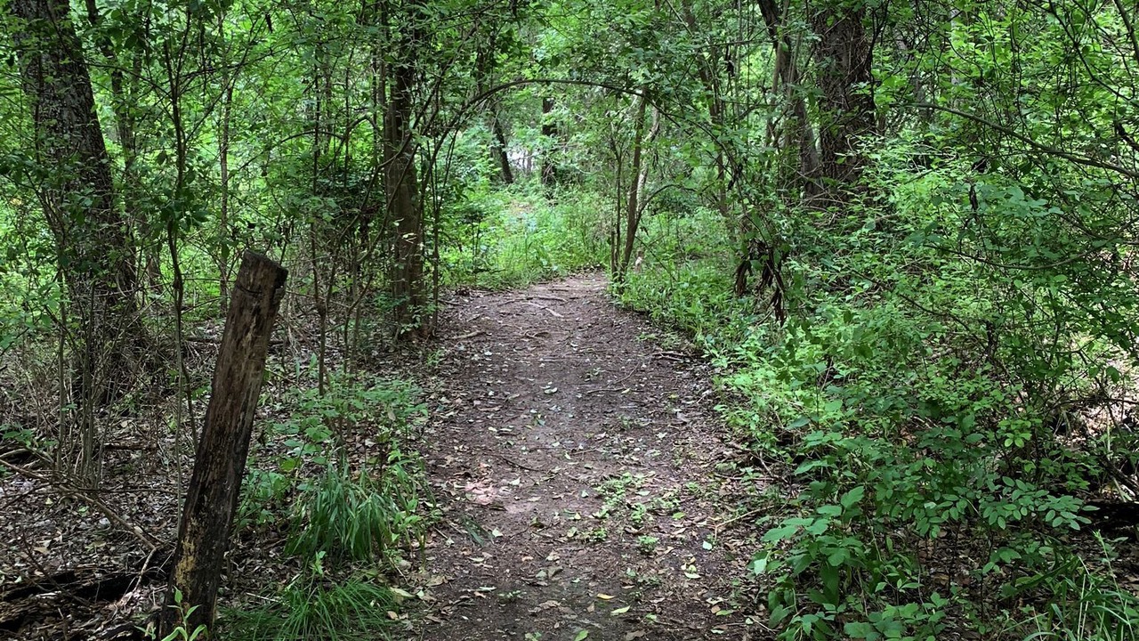 Photo of Outdoor in North Oaks