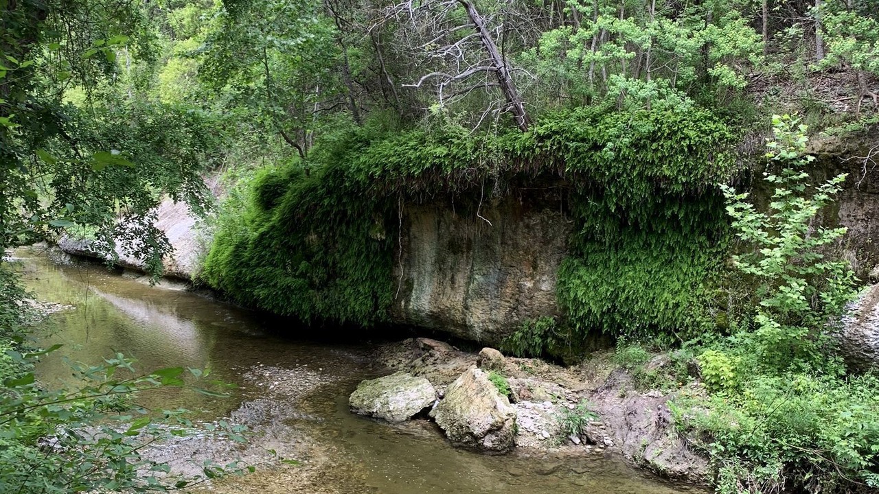 Photo of Outdoor in North Oaks