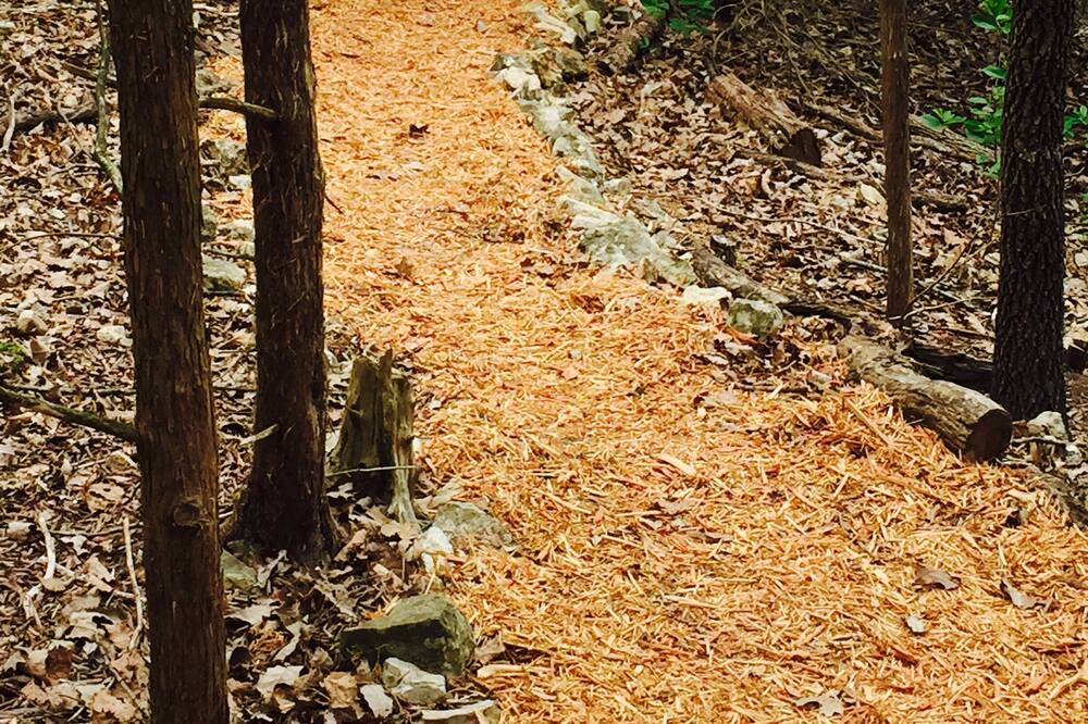 Photo of Outdoor in Lost Bridge Village
