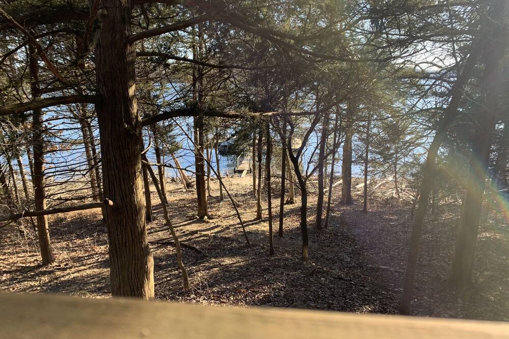 Photo of Outdoor in Lost Bridge Village