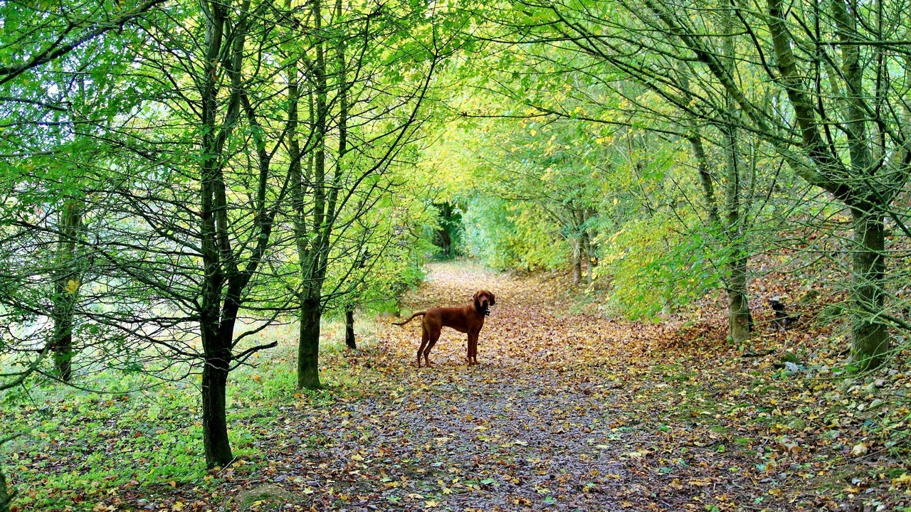 Photo of Others in Wendling