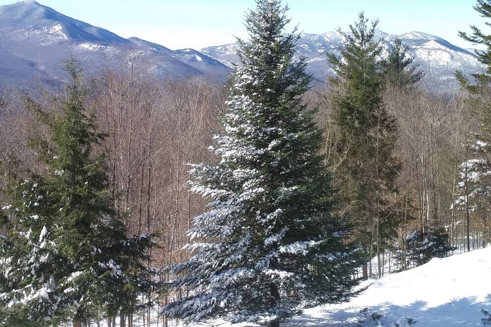 Photo of Others in Keene