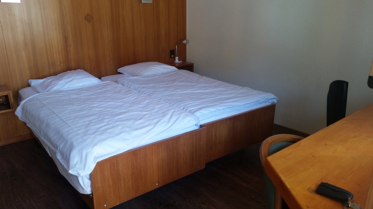 Photo of Bedroom in Martigny