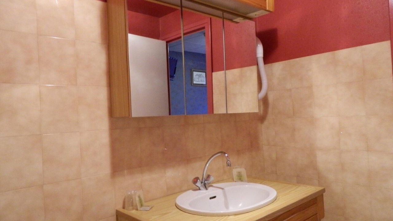 Photo of Bathroom in Thiezac