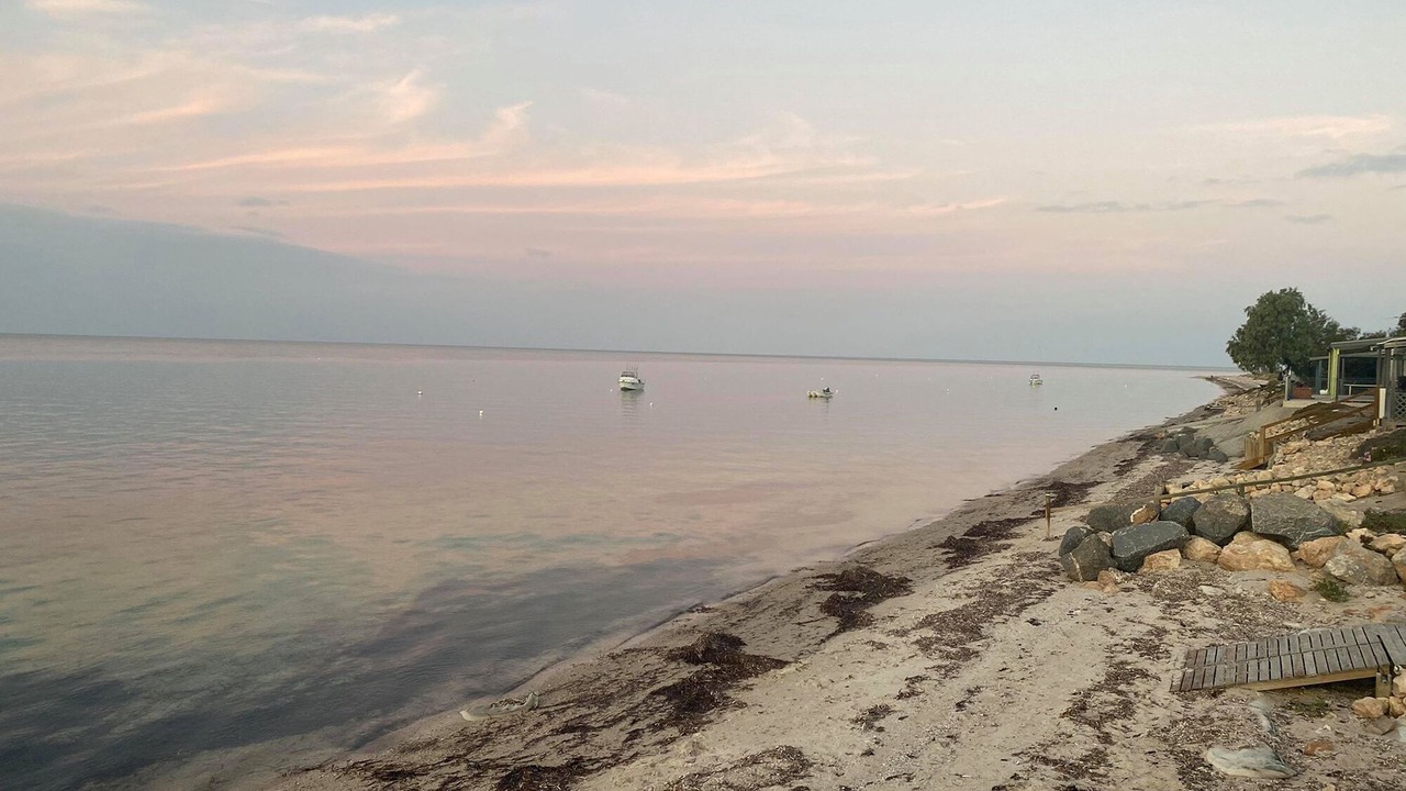 Photo of Outdoor in Muloowurtie