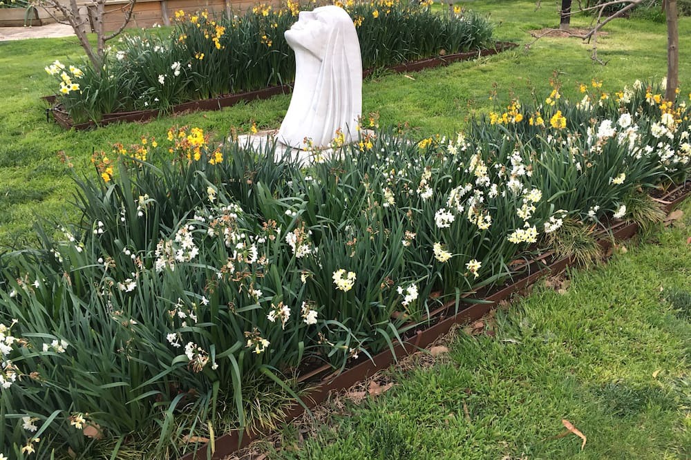 Photo of Outdoor in Yering