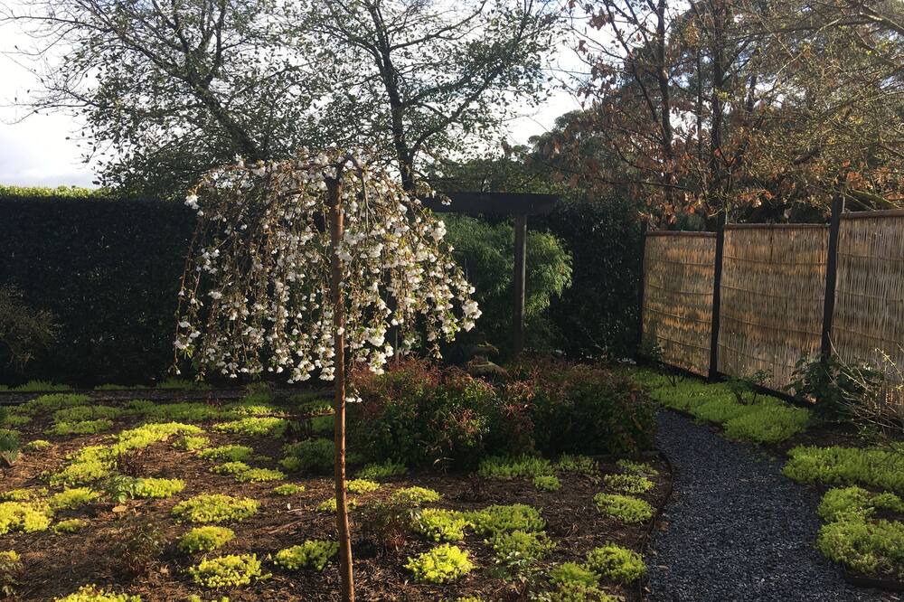 Photo of Outdoor in Yering