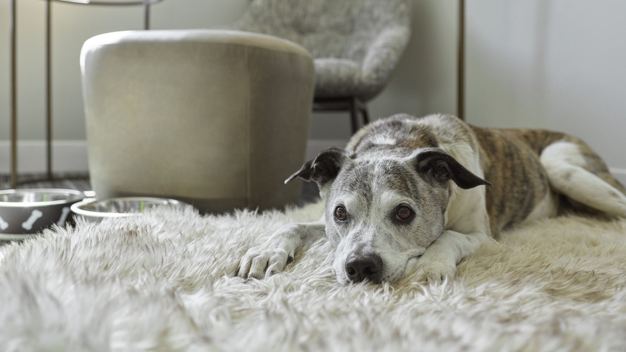 Photo of Outdoor in Cleveland