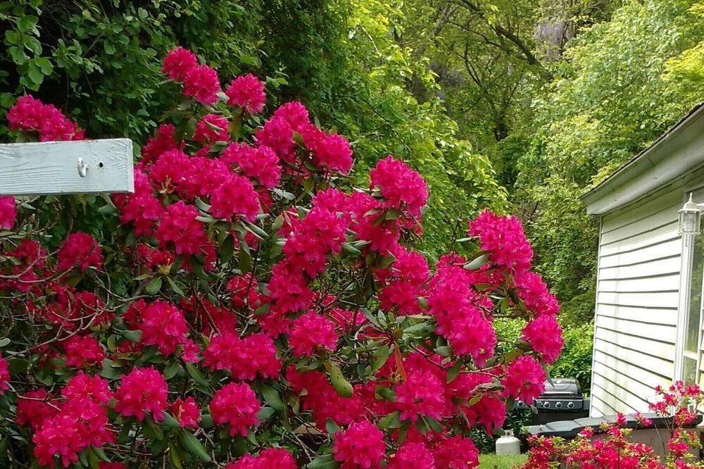 Photo of Others in Westerly