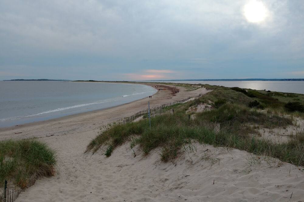 Photo of Others in Westerly