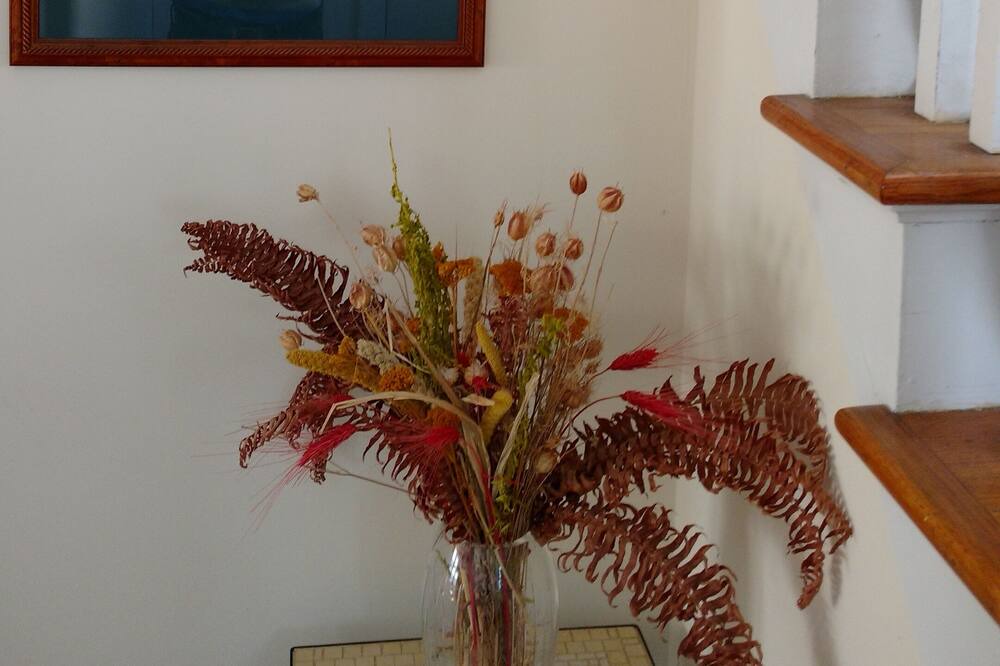 Photo of Others in Westerly