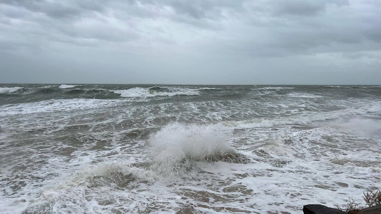 Photo of Others in La Tranche-sur-Mer