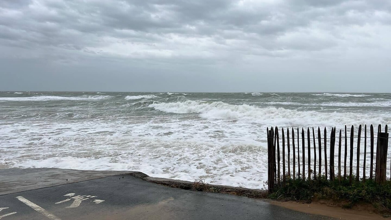 Photo of Others in La Tranche-sur-Mer
