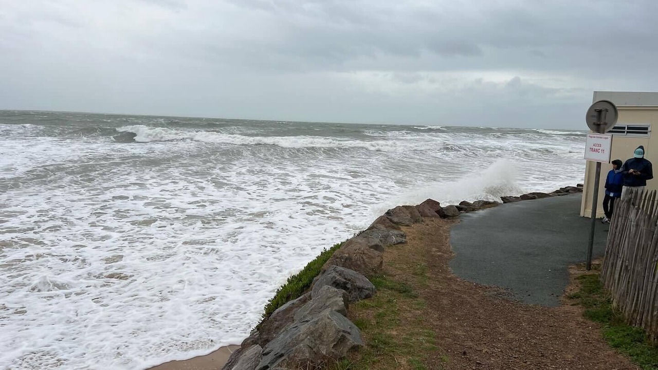 Photo of Others in La Tranche-sur-Mer