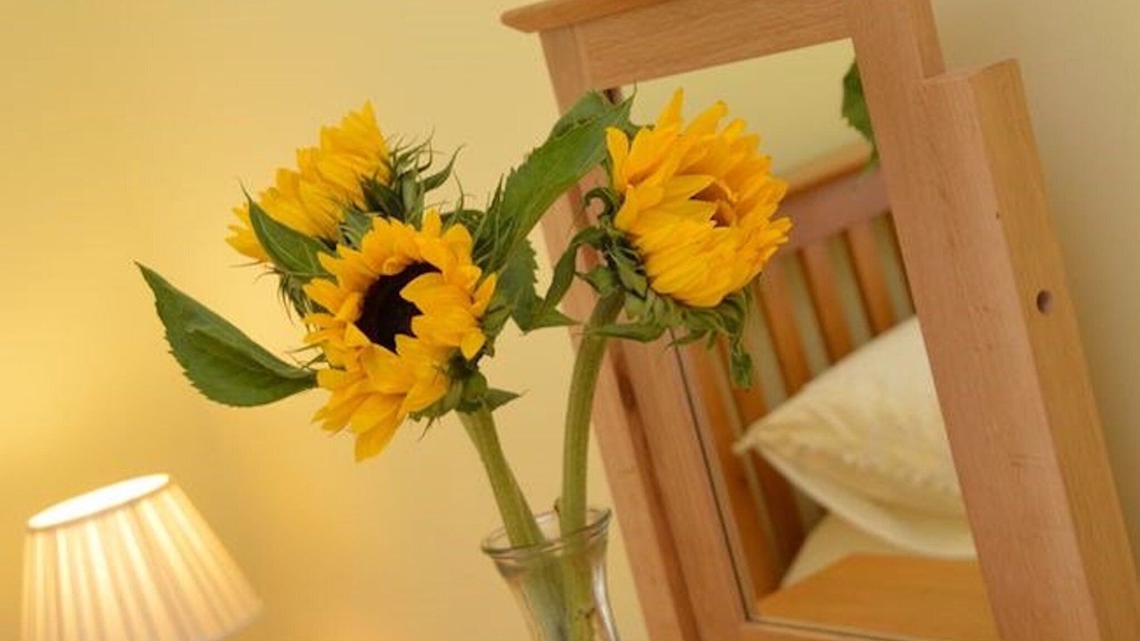 Photo of Others in Worstead