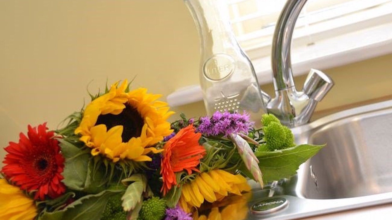 Photo of Others in Worstead