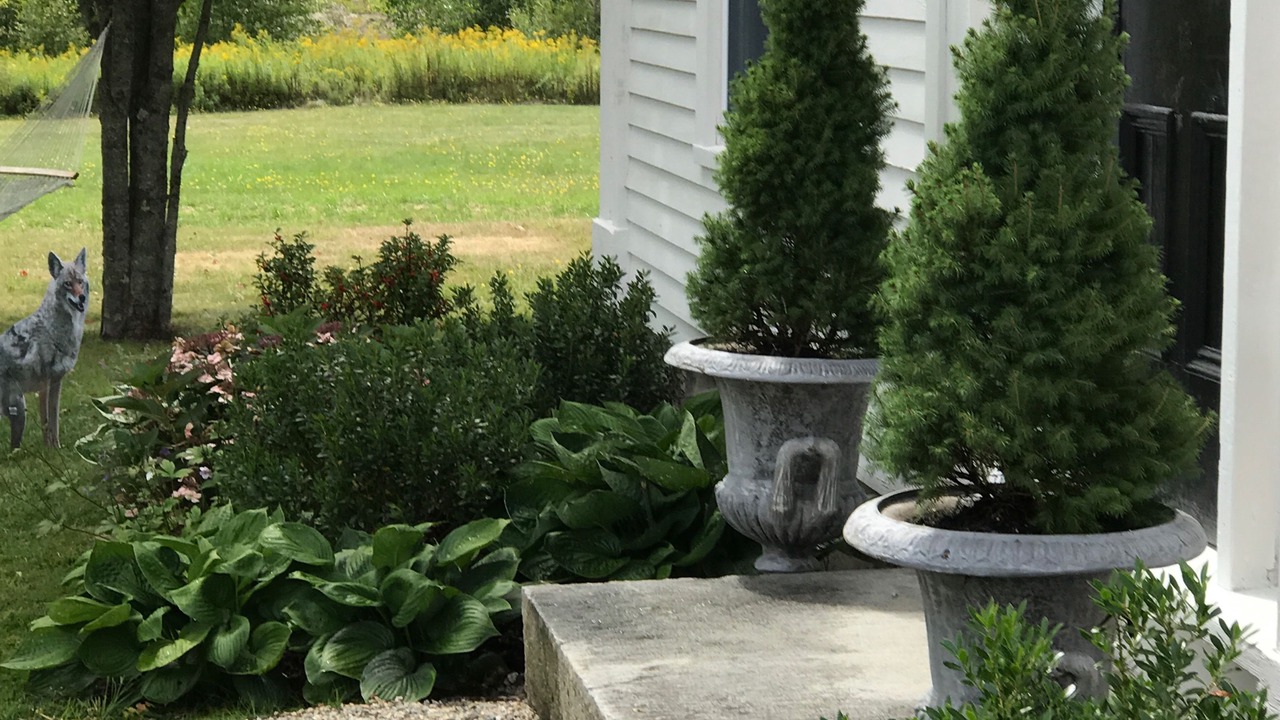Photo of Outdoor in Freeport