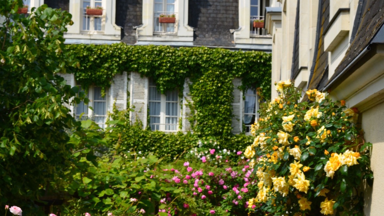 Photo of Outdoor in Chinon