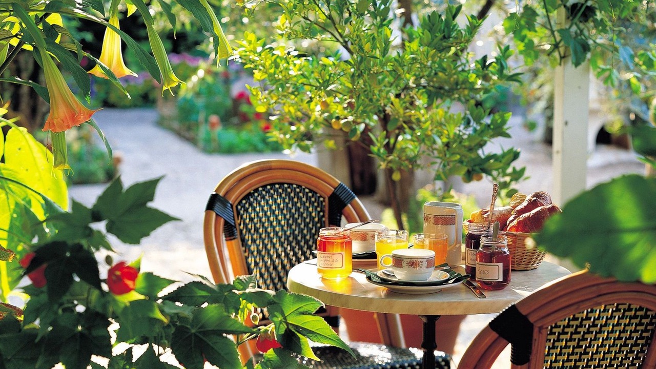 Photo of Others in Chinon