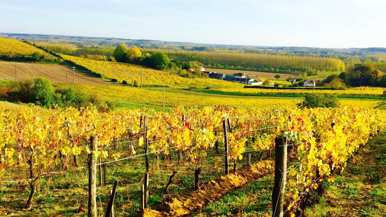 Photo of Outdoor in Chinon