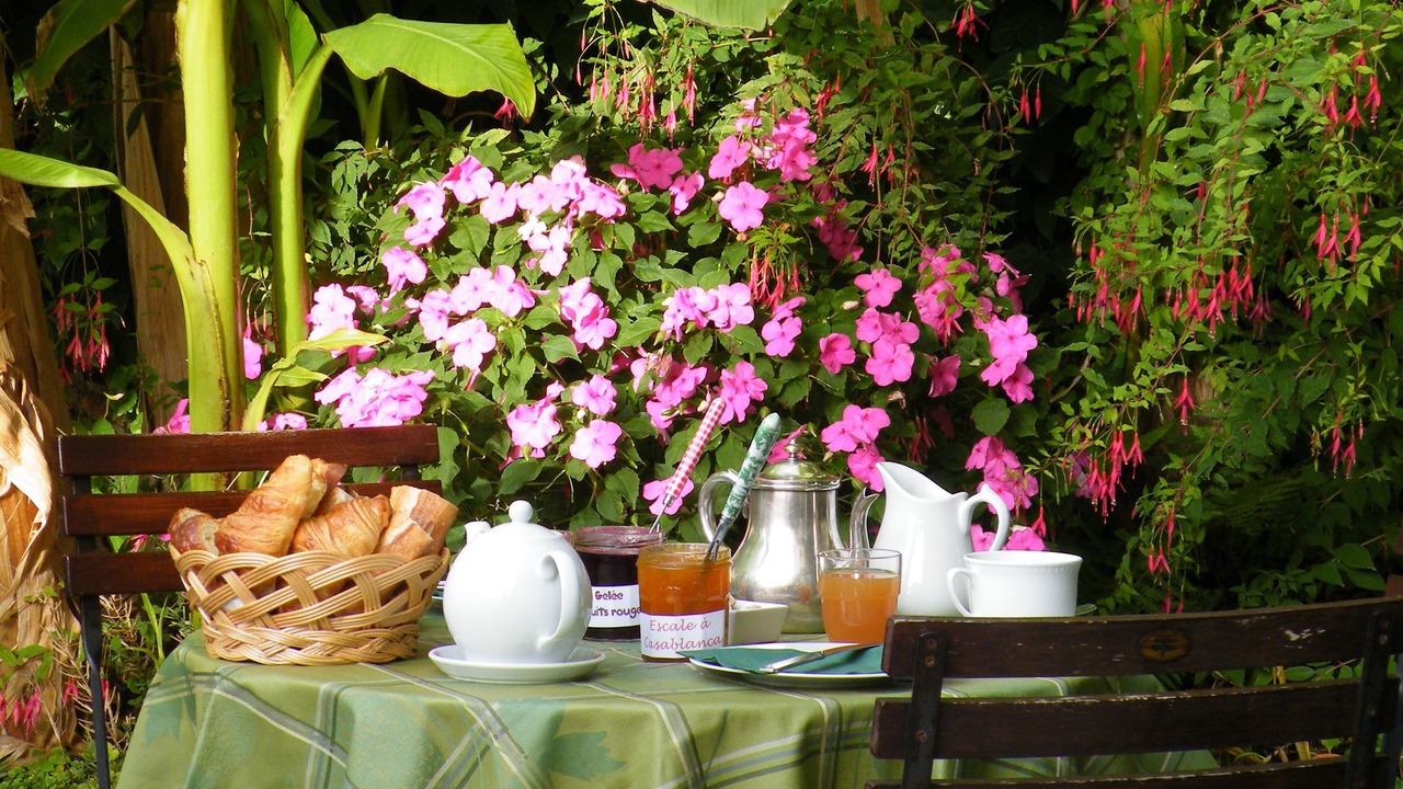 Photo of Others in Chinon