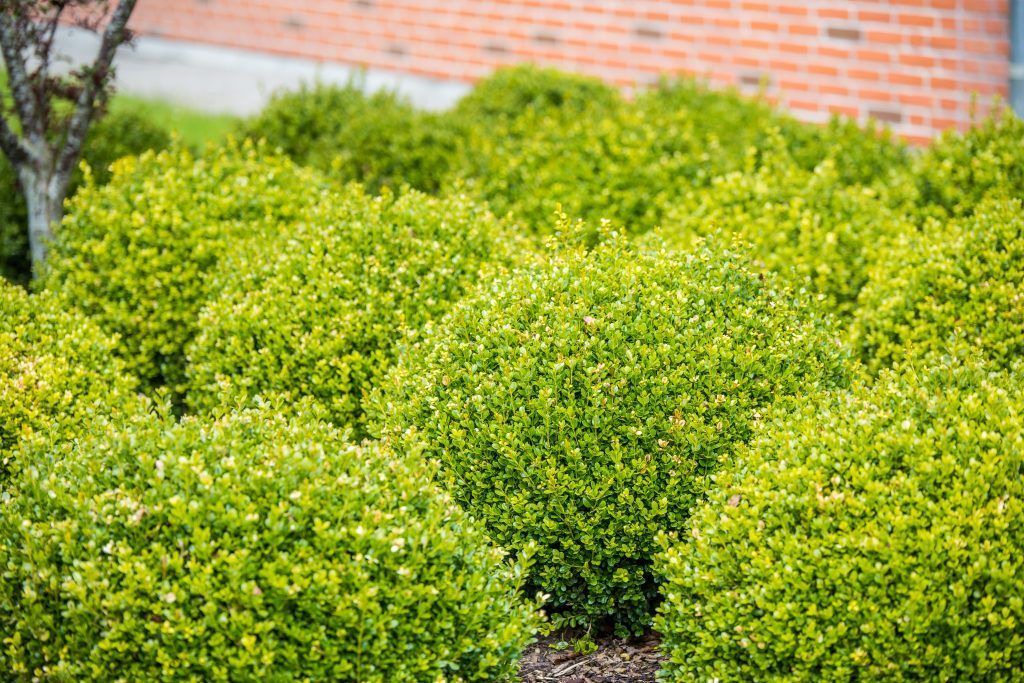 Photo of Outdoor in Kibaek