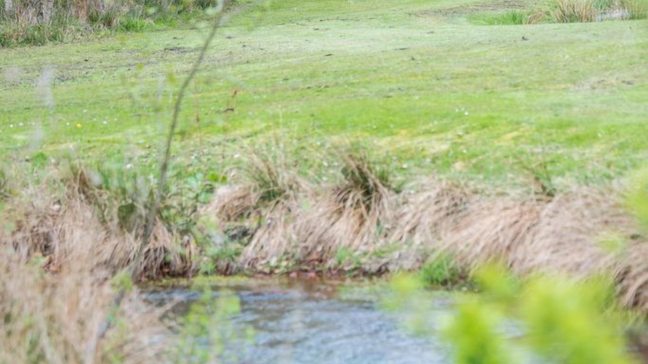 Photo of Outdoor in Kibaek
