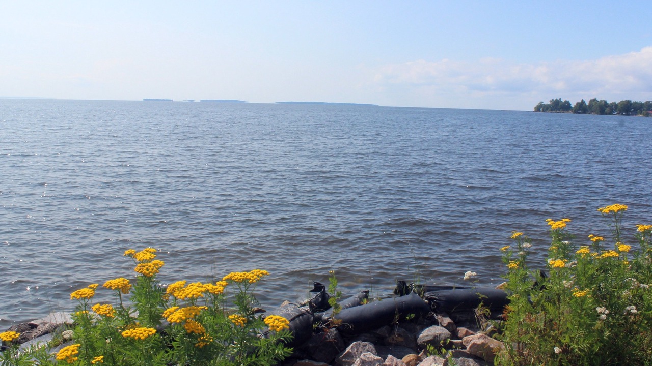 Photo of Outdoor in North Bay