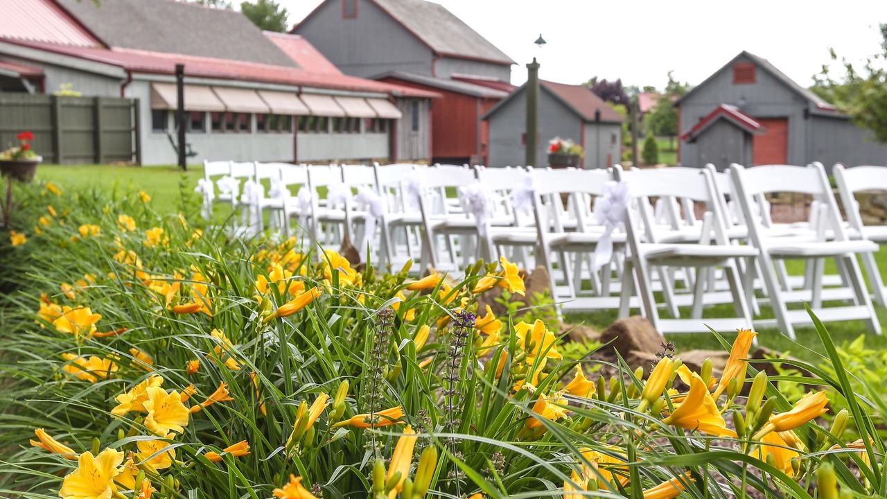 Photo of Outdoor in McClellandtown