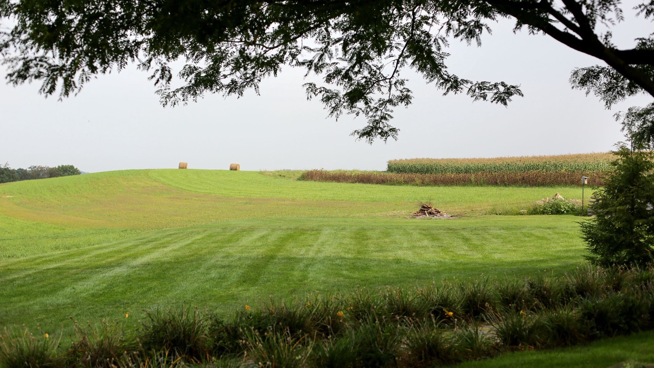 Photo of Others in McClellandtown