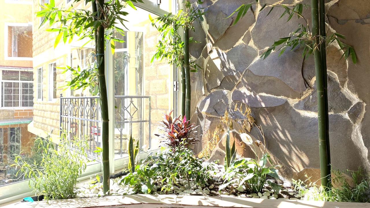 Photo of Outdoor in Tlatlauquitepec