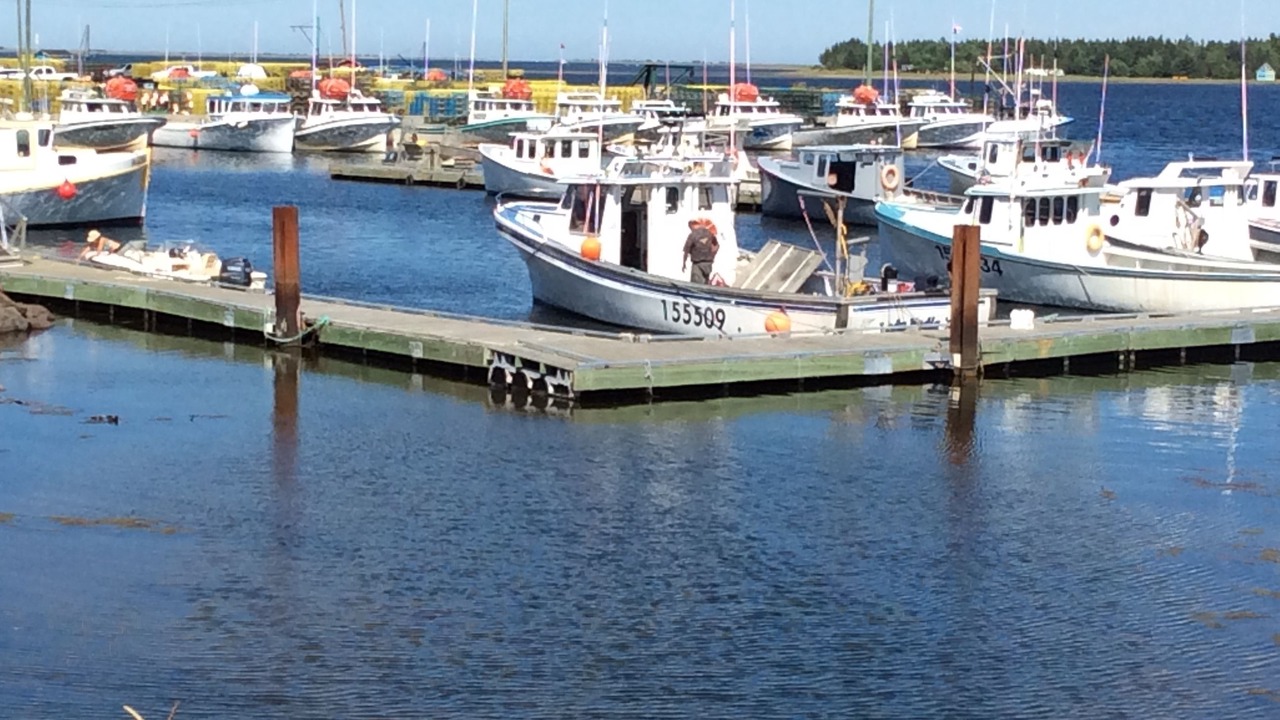 Photo of Others in Rexton
