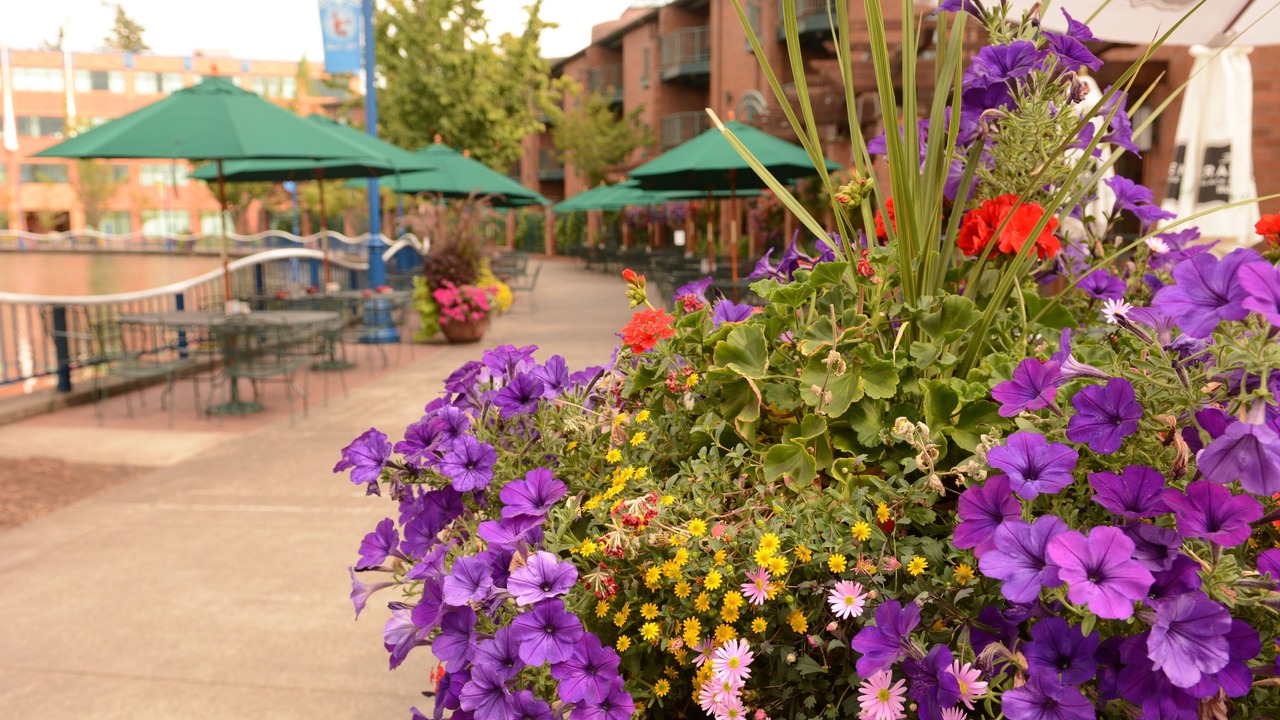 Photo of Others in Sherwood - Tualatin South