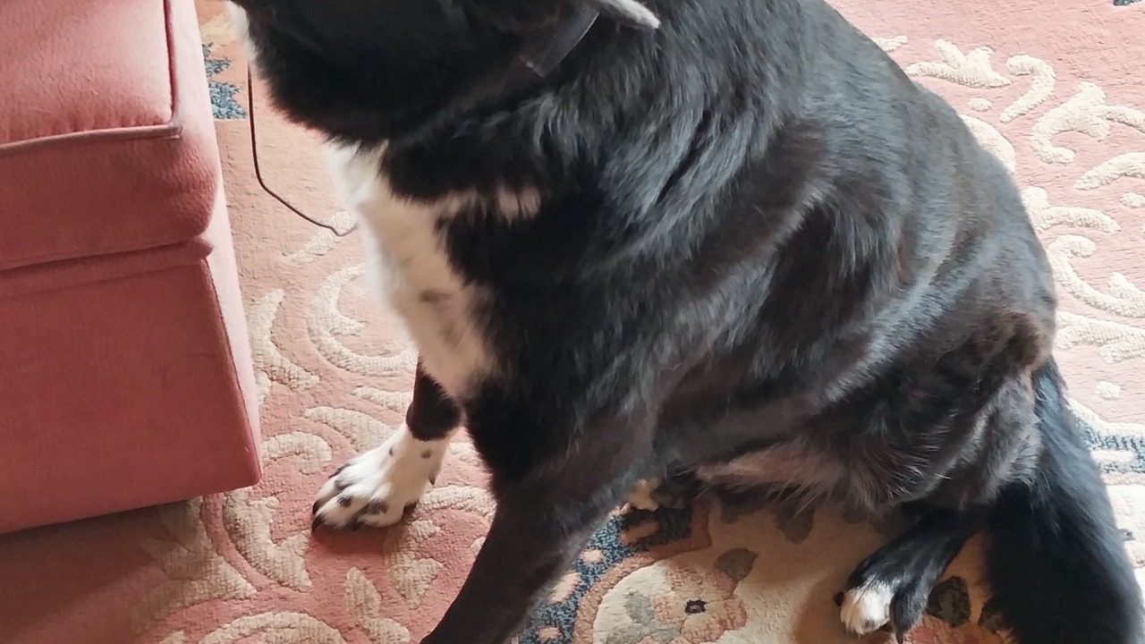 Photo of Others in Metcalfe