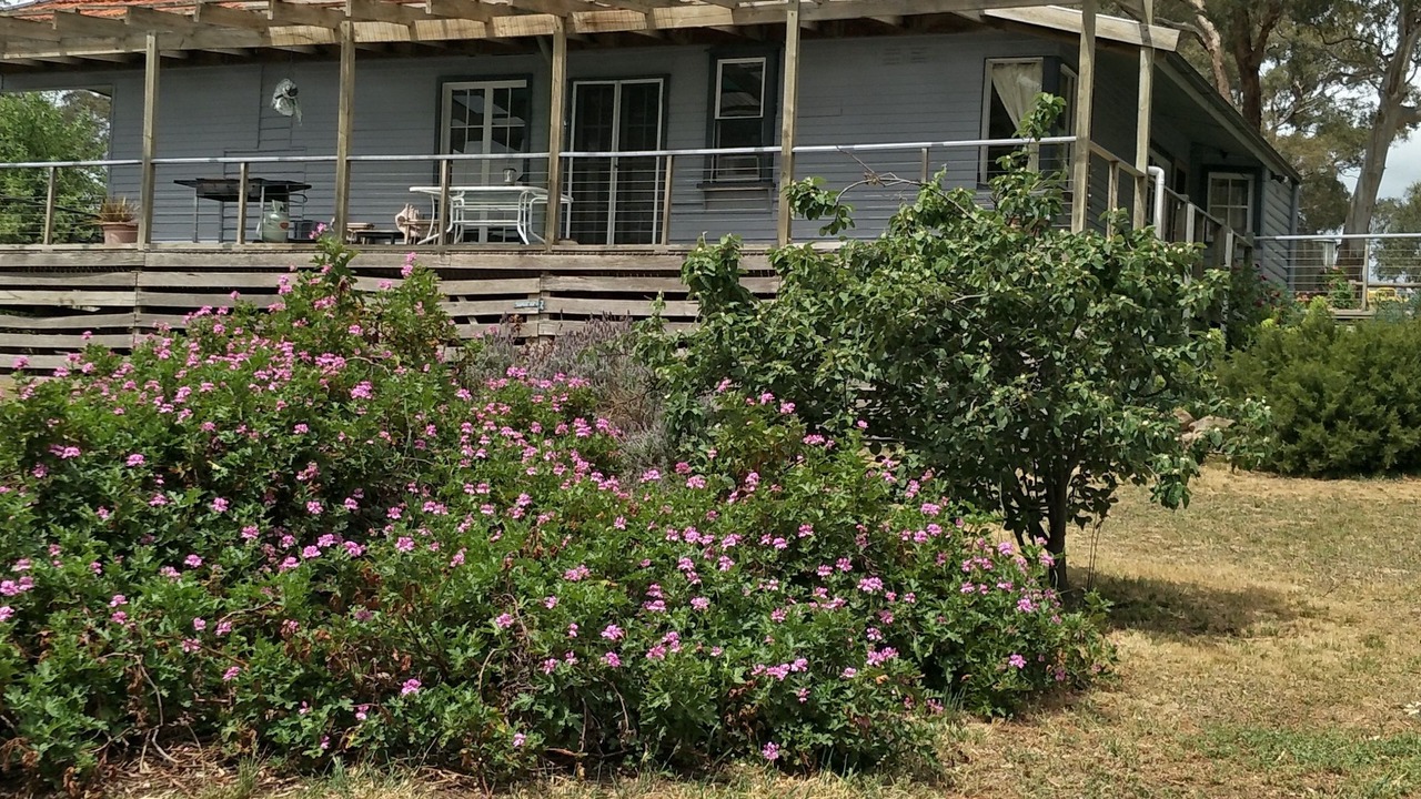 Photo of Others in Metcalfe