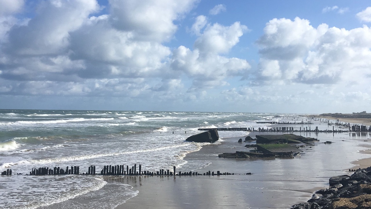 Photo of Others in Ver-sur-Mer