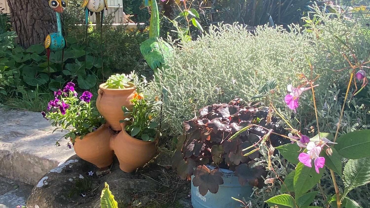 Photo of Outdoor in Ver-sur-Mer