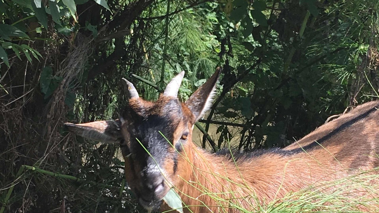 Photo of Outdoor in Ver-sur-Mer