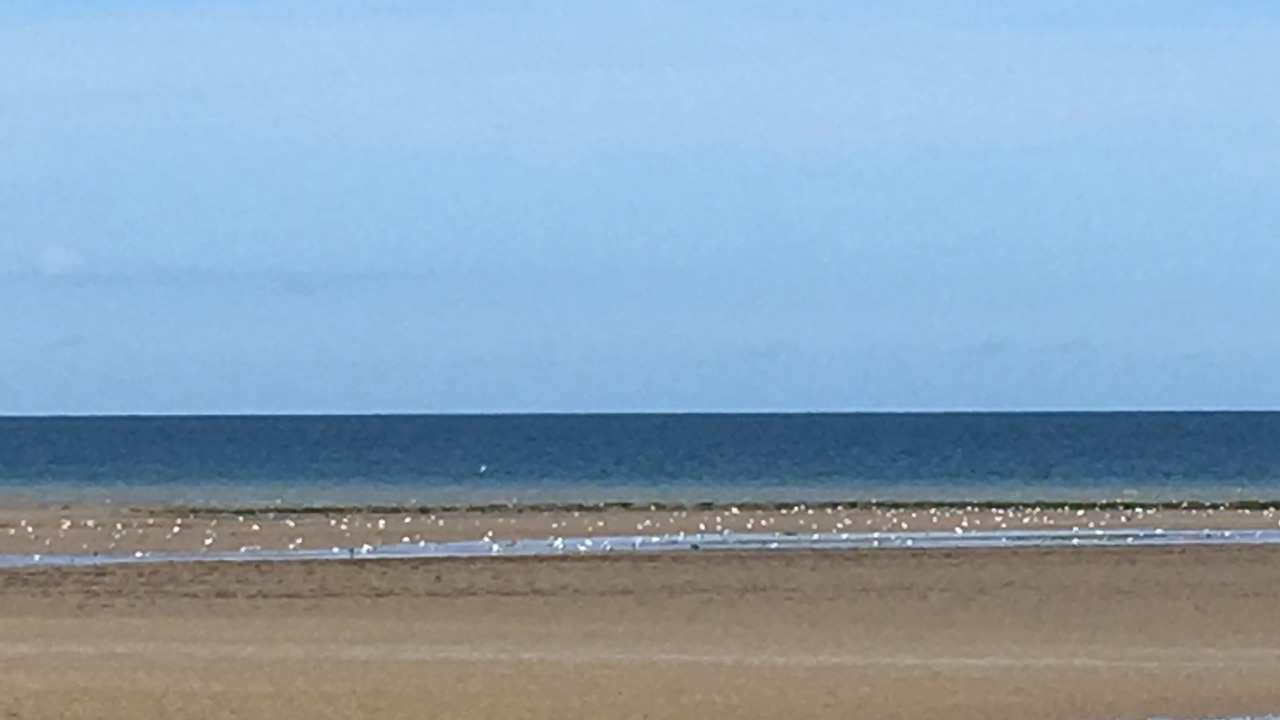 Photo of Others in Ver-sur-Mer