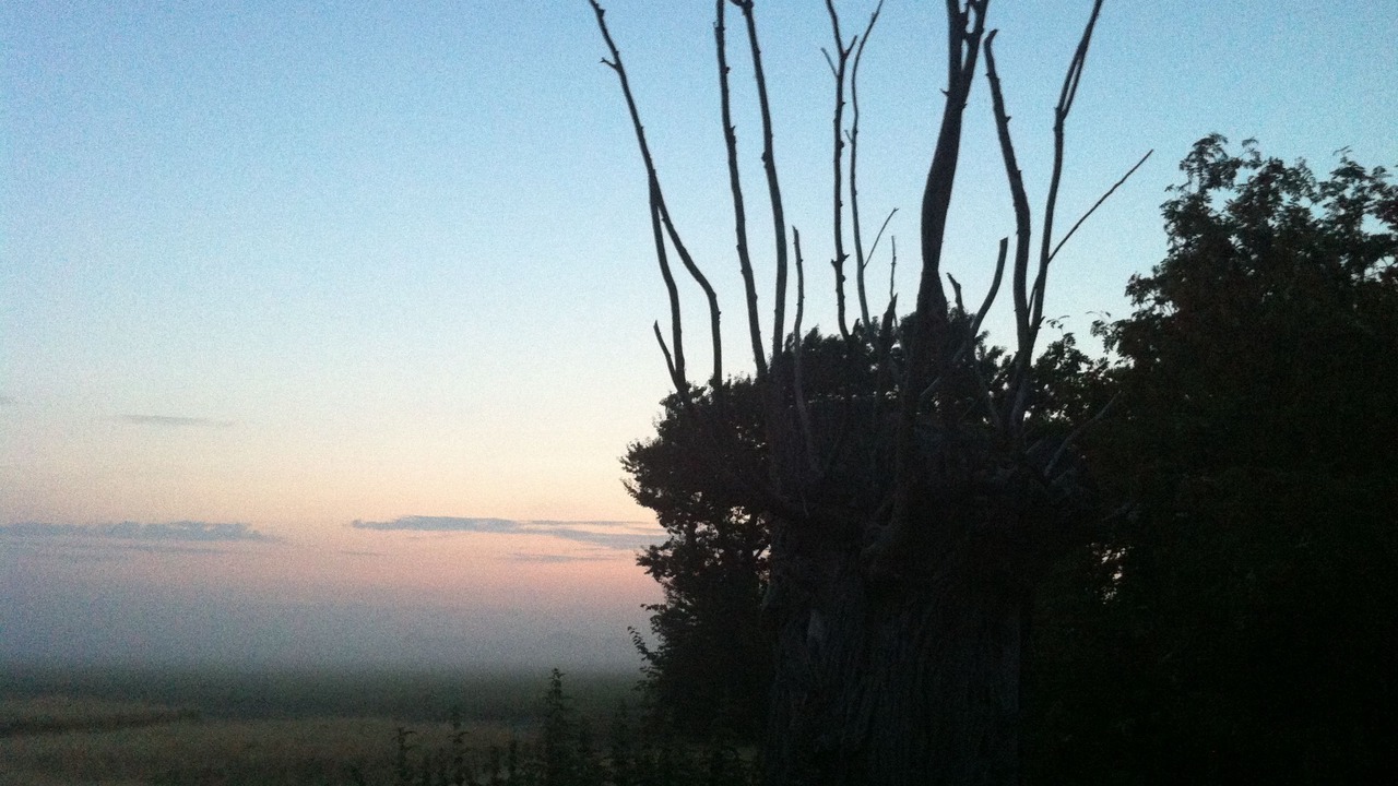 Photo of Others in Maribo