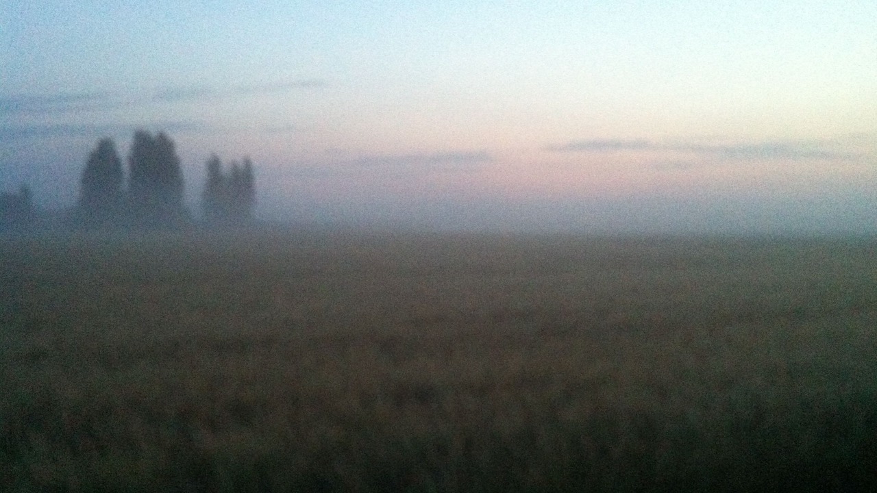 Photo of Outdoor in Maribo