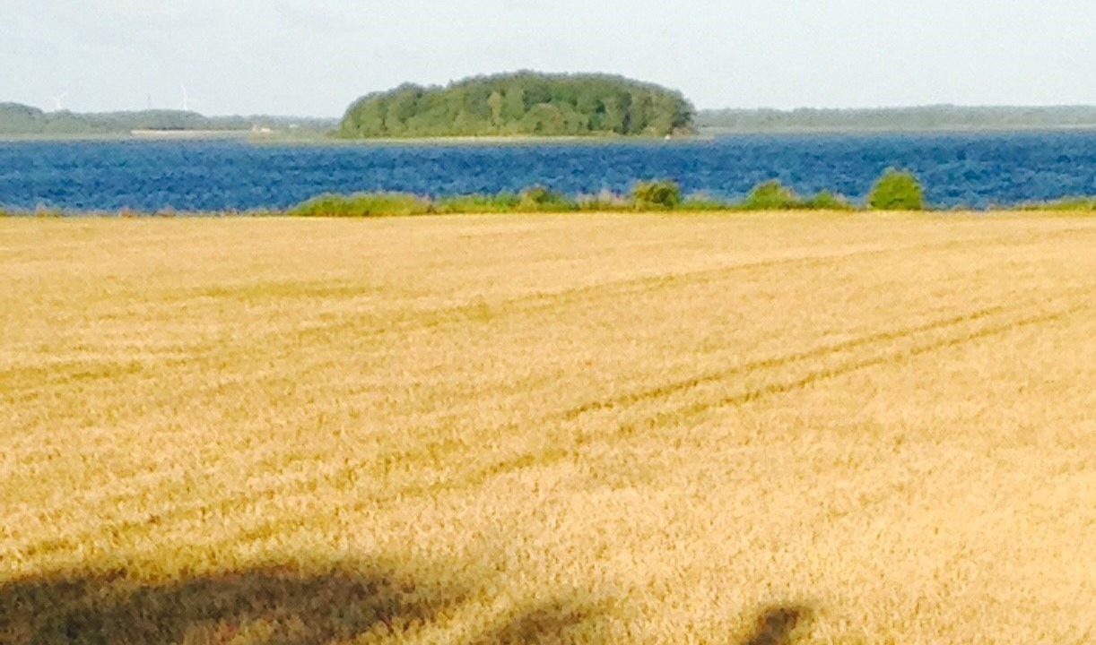 Photo of Outdoor in Maribo